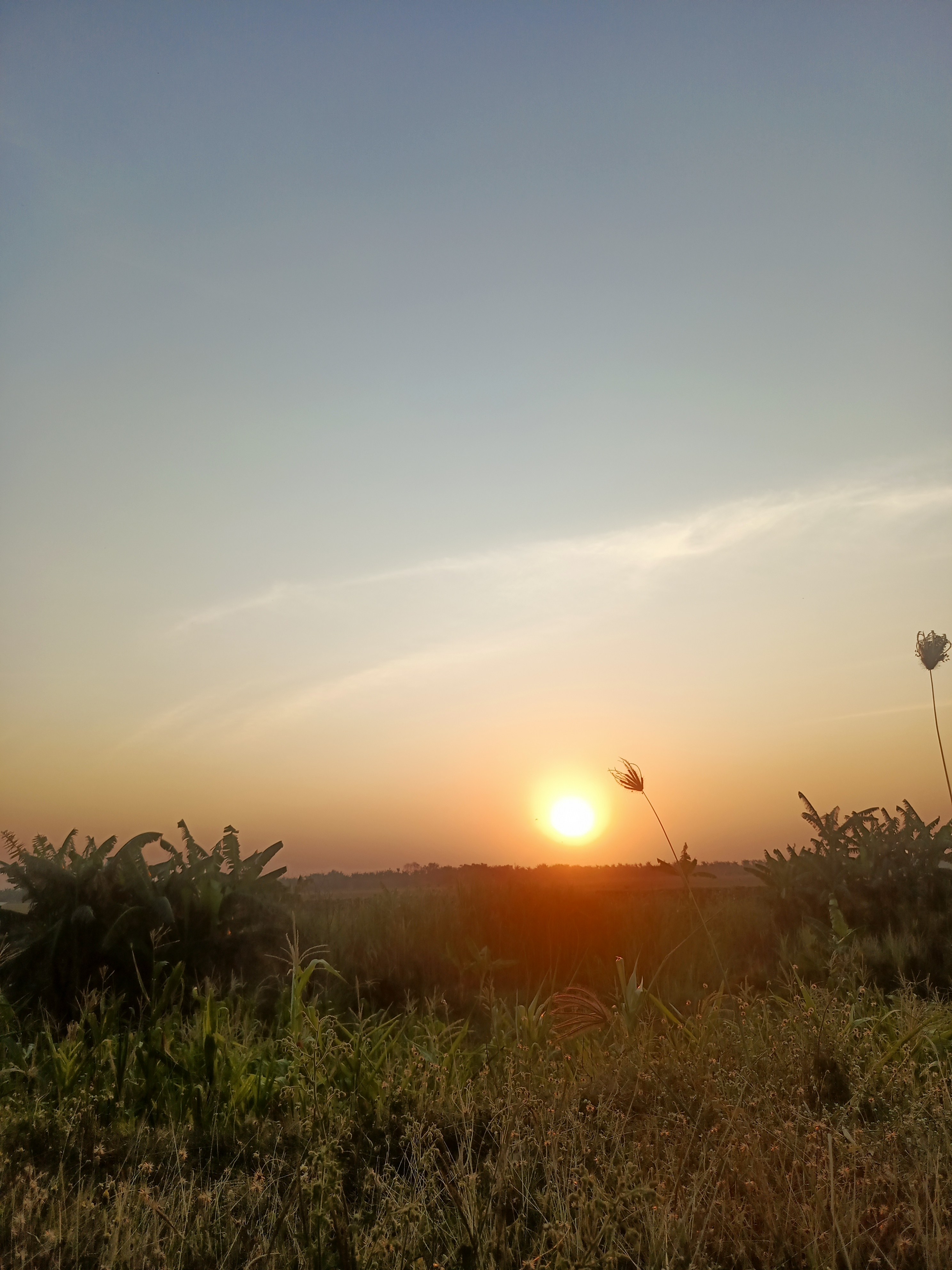 DIRGAHAYU